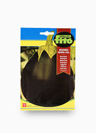 Eggplant Redonda Negra Lisa 4g