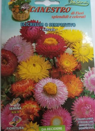 Elicrisum O Semprevivo Seeds by CANESTRO