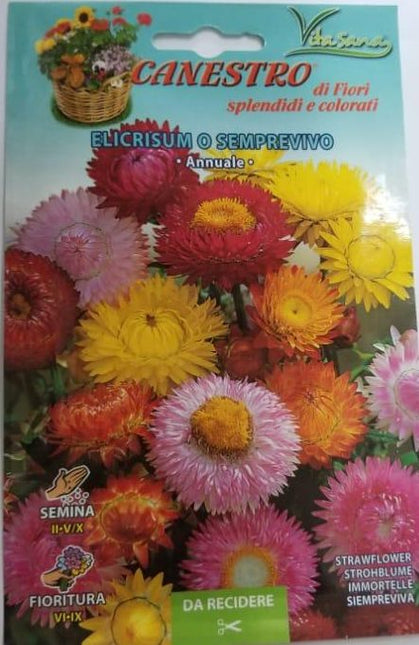 Elicrisum O Semprevivo Seeds by CANESTRO