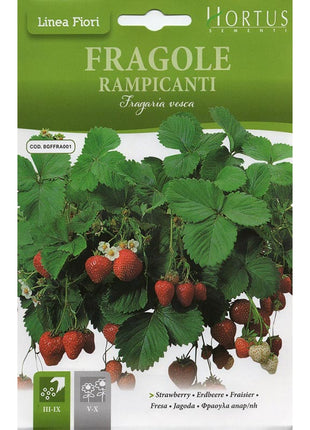 Strawberry &#8220;Fragole Rampicanti&#8221; Seeds by Hortus
