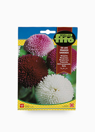 Fito Bellis Pomponette Flower Seeds