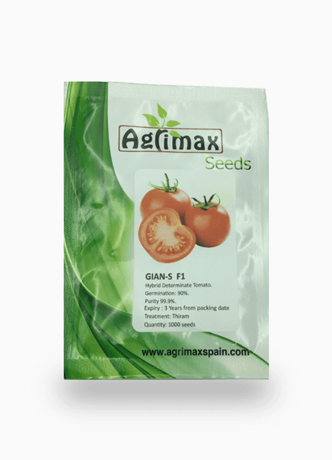 GIAN-S Hybrid Determinate Tomato 1000 Premium Quality Seeds