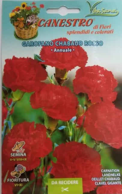 Garofano Chabaud Rosso Seed by CANESTRO