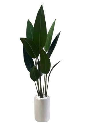 Artificial Birds of Paradise PROMO