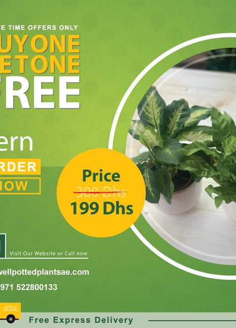 Prayer Plant Bundle Buy1 Take1 PROMO