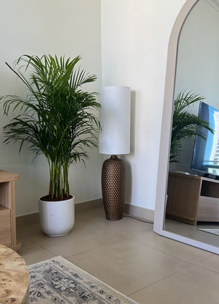 199DH Areca Palm Tree Bushy in Ceramic Pot PROMO