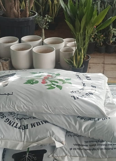 Soil Premium Quality PROMO