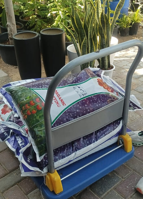 Soil Premium Quality PROMO