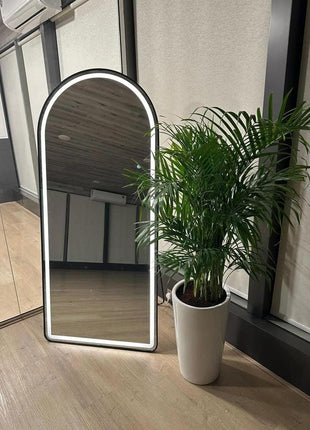 Areca Palm Bushy Each PROMO