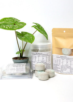 Best Tab &#8220;NPK Fertilizer Tablets&#8221; with Complete Essential Nutrients For Indoor and Outdoor Plants