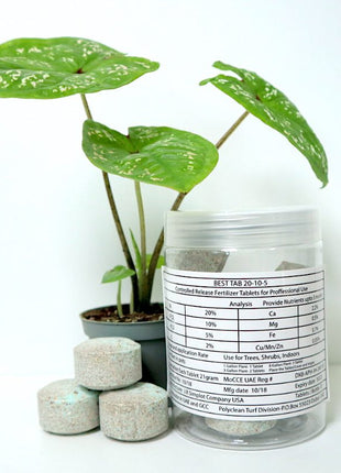 Best Tab &#8220;NPK Fertilizer Tablets&#8221; with Complete Essential Nutrients For Indoor and Outdoor Plants