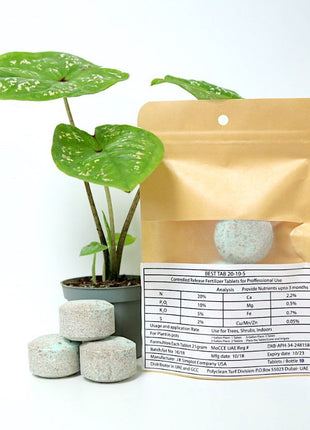 Best Tab &#8220;NPK Fertilizer Tablets&#8221; with Complete Essential Nutrients For Indoor and Outdoor Plants