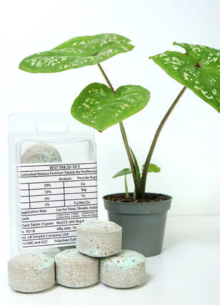 Best Tab &#8220;NPK Fertilizer Tablets&#8221; with Complete Essential Nutrients For Indoor and Outdoor Plants