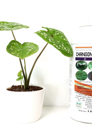 Changong EC &#8220;Insecticide&#8221; 1Ltr