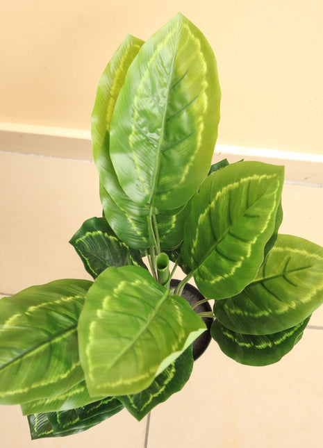 Artificial Calathea 50cm