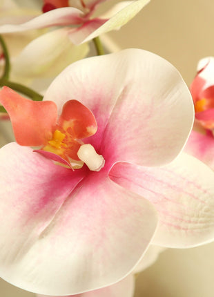 Artificial White Orchids 50cm