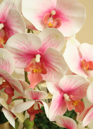 Artificial White Orchids 50cm