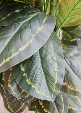 Artificial Calathea Peacock Plant &#8220;Zebra Plant&#8221; 130cm
