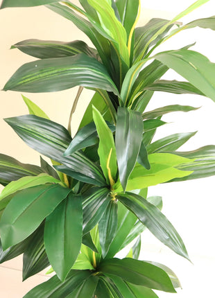 Artificial Dracaena Compacta 150cm