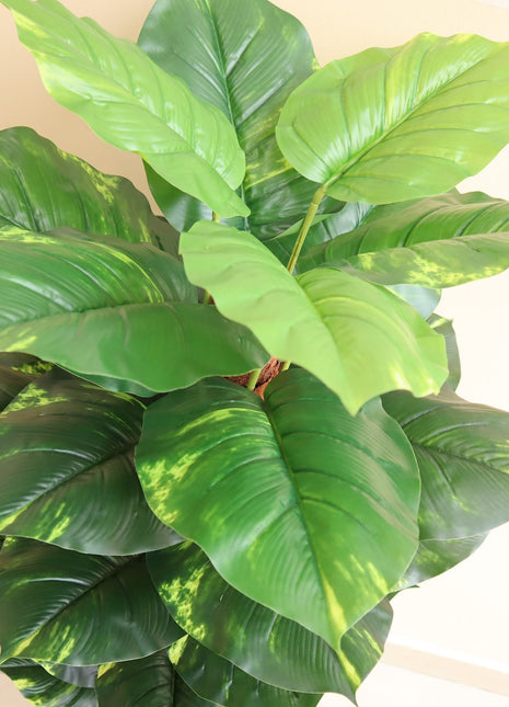 Artificial Money Plant 130cm