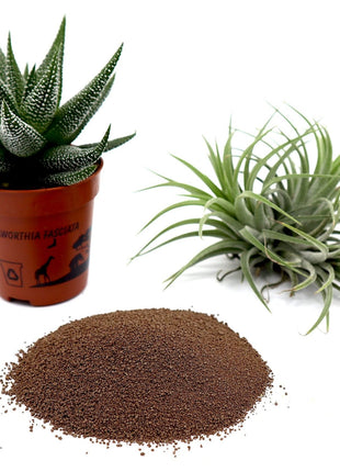 Disper CaB Best for Boron &#038; Calcium Deficiencies