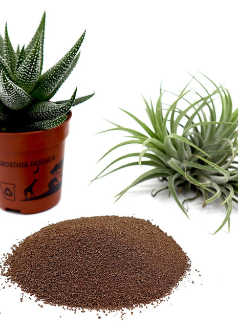 Disper CaB Best for Boron &#038; Calcium Deficiencies