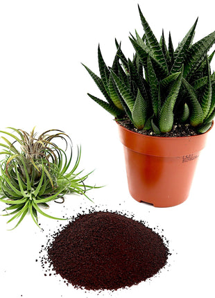 Disper Fer 6% Best for plant Iron Deficiencies