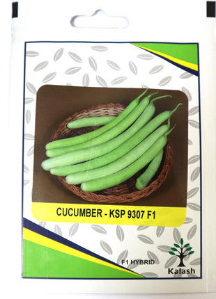 Cucumber KSP 9307 F1 Hybrid Premium Quality Seeds