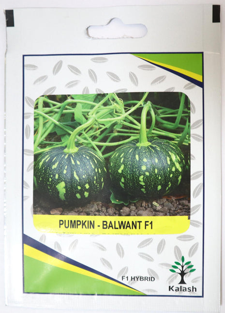 Pumpkin Balwant F1 Hybrid Premium Quality Seeds