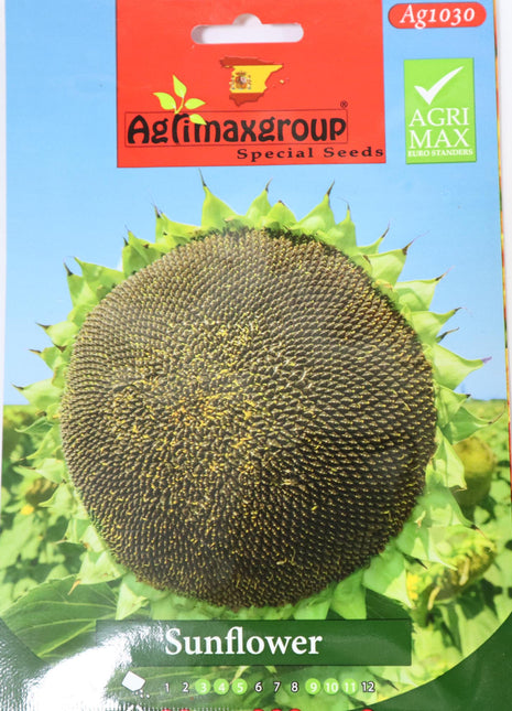 Sunflower Premium Quality Seeds by Agrimax