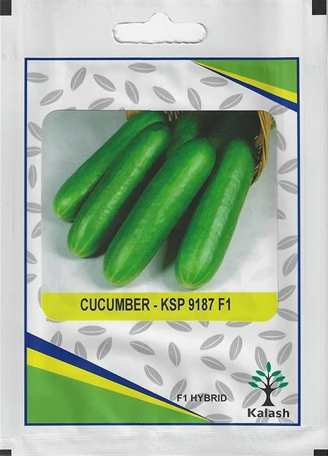 Kalash Cucumber KSP 9187 F1 Hybrid Premium Quality Seeds