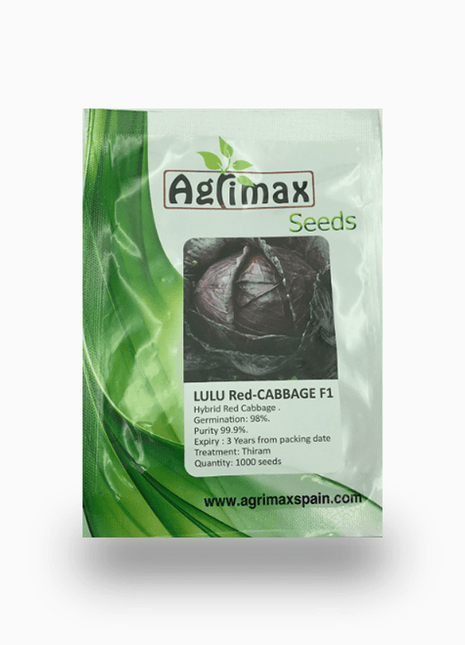 LULU Red-Cabbage F1 Premium Quality Seeds