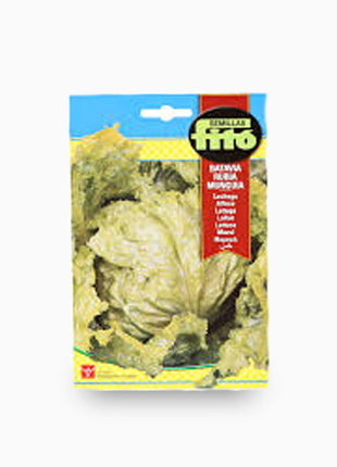 Lettuce Batavia Rubia Munguia 7g  &#8211; Fito