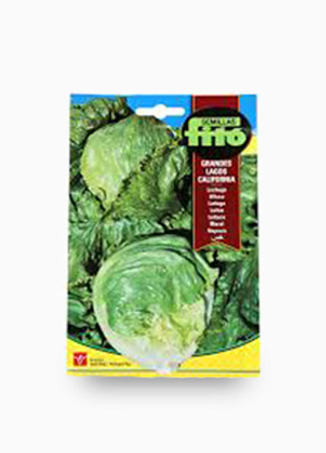 Lettuce Grandes Lagos California 6g &#8211; Fito