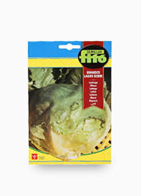 Lettuce Great Lakes Sebre 6g &#8211; Fito