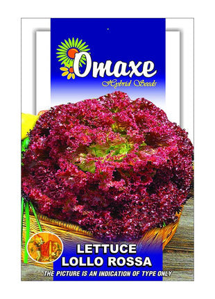 Lettuce &#8220;Lollo Rossa&#8221; Hybrid Seeds by Omaxe