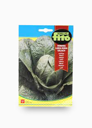 Romana Larga Verde 8g &#8211; Fito