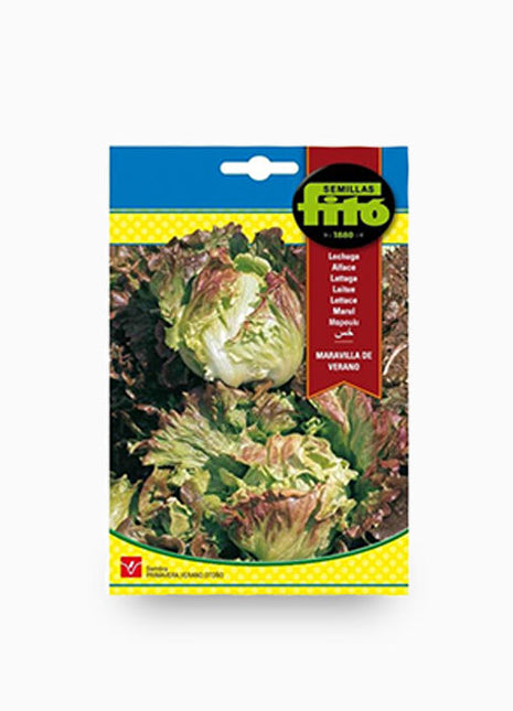 Lettuce Summer Marvel &#8211; Fito