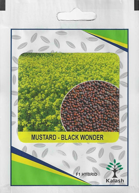 Kalash Mustard – Black Wonder F1 Hybrid Premium Quality Seeds