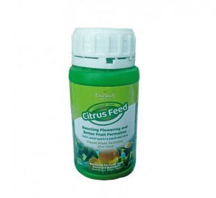 Orchid Feed &#8221; Liquid Fertilizer&#8221; 250ml