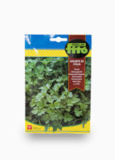 Parsley Gigante Italia Seeds 20g &#8211; Fito