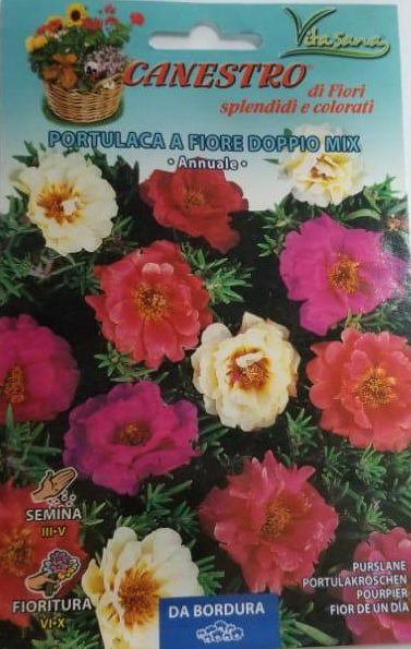 Portulaca A Fiore Doppio Mix Seeds by CANESTRO