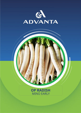 Mino Early OP Radish Seeds 5g