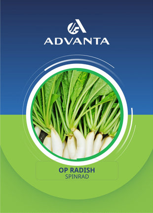 Spinrad OP Radish Seeds 5g