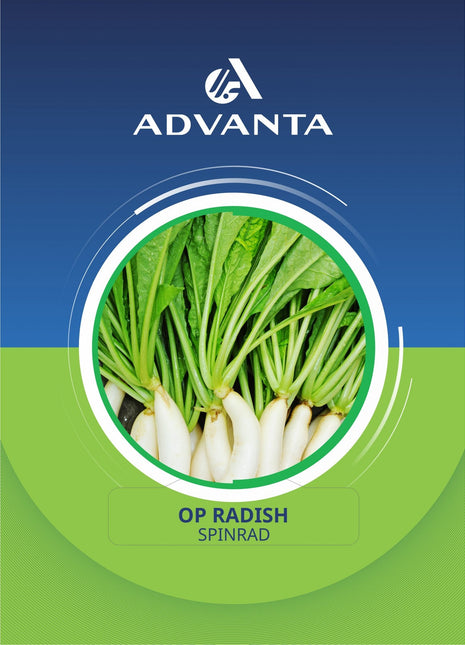 Spinrad OP Radish Seeds 5g