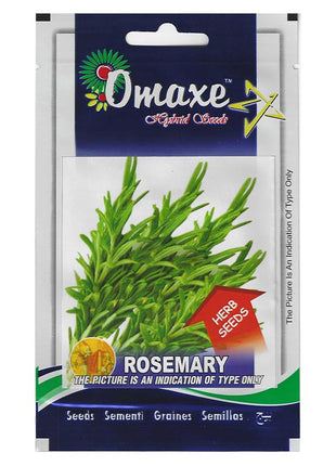 Rosemary &#8220;Rosmarinus officinalis&#8221; Hybrid Seeds by Omaxe