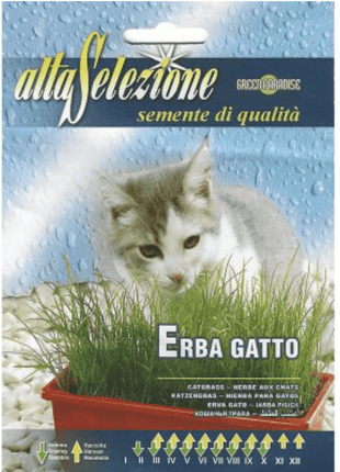 Grass for Cat &#8220;Erba Gatto&#8221; Seeds by Alta Selezione
