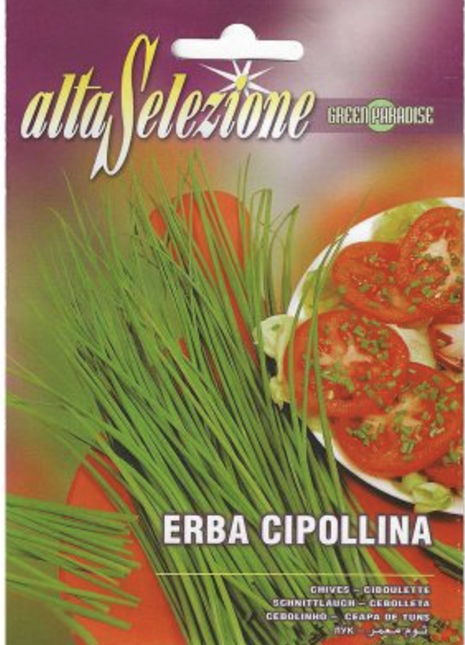 Chives &#8220;Erba Cipollina&#8221; Premium Quality Seeds by Alta Selezione