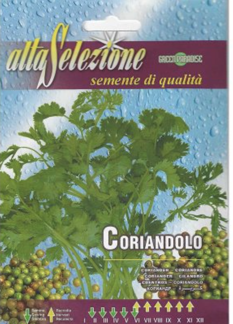 Coriander &#8220;Coriandolo&#8221; Premium Quality Seeds by Alta Selezione