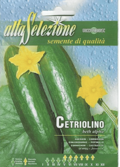 Cucumber &#8220;Gherkin Cetriolino Beth Alpha&#8221; Premium Quality Seeds by Alta Selezione